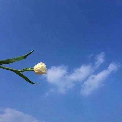 bob半岛娱乐官方正版