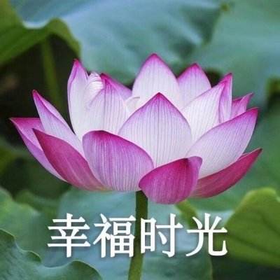 创新药持续创收医药公司首季成绩单喜人