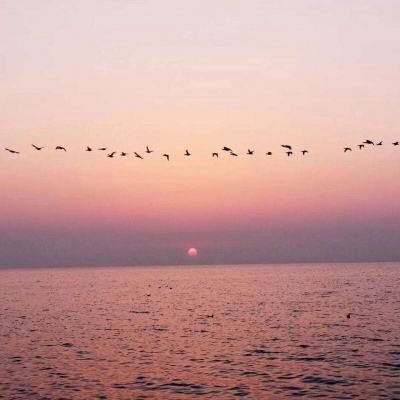 空军：徐勇凌早已退出现役移交地方