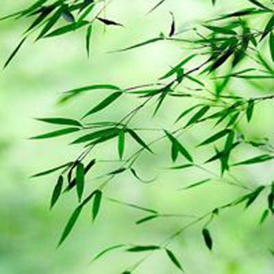 超时空乱斗破解版下载