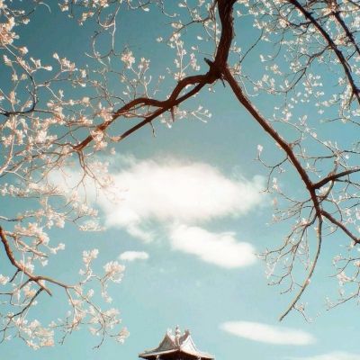 手机管家极速版安卓版集团总部直连