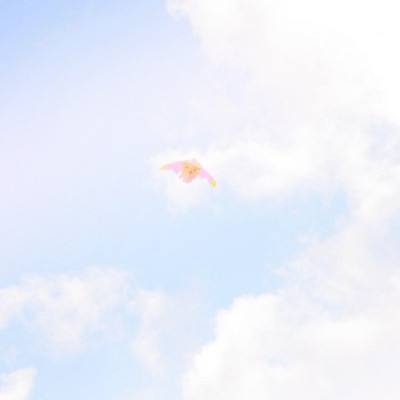 篮坛第一女神曾与王治郅传过绯闻 年近40岁仍没嫁人