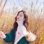 美官员称引导船只行动或不包括美舰直接护航